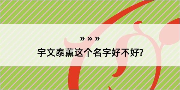 宇文泰薰这个名字好不好?