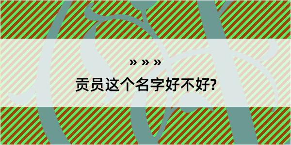 贡员这个名字好不好?