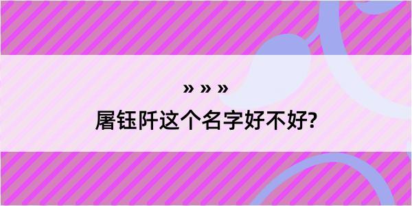 屠钰阡这个名字好不好?