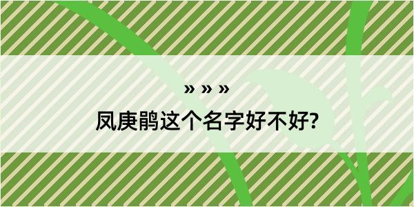 凤庚鹃这个名字好不好?