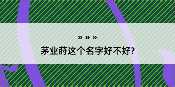 茅业莳这个名字好不好?