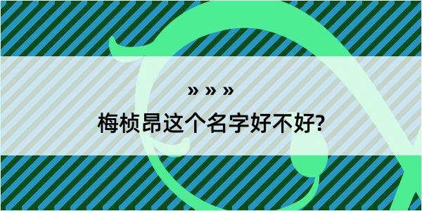 梅桢昂这个名字好不好?