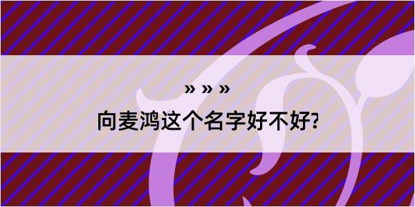 向麦鸿这个名字好不好?