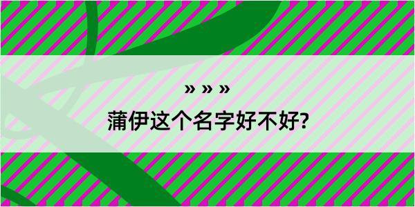 蒲伊这个名字好不好?