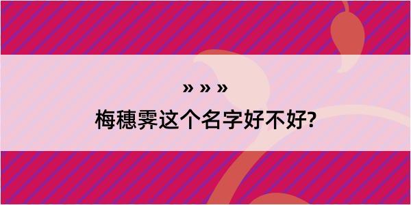 梅穗霁这个名字好不好?