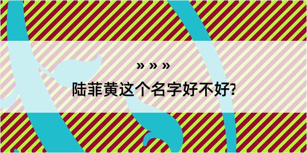 陆菲黄这个名字好不好?