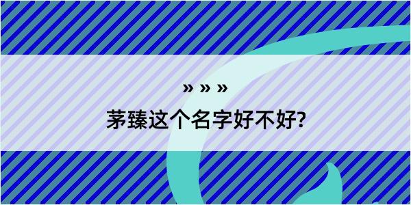 茅臻这个名字好不好?