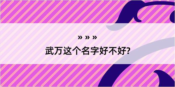 武万这个名字好不好?