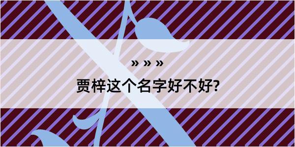 贾梓这个名字好不好?