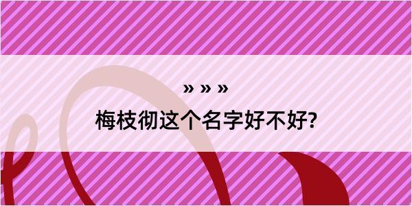 梅枝彻这个名字好不好?