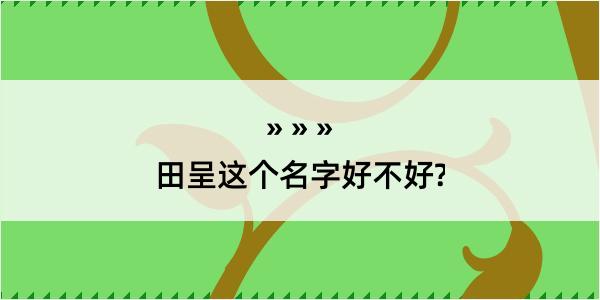 田呈这个名字好不好?