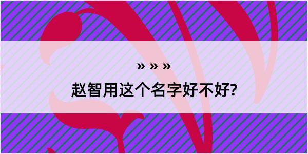 赵智用这个名字好不好?