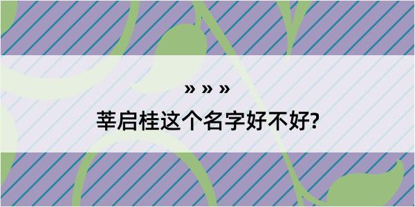 莘启桂这个名字好不好?