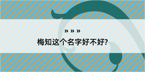 梅知这个名字好不好?