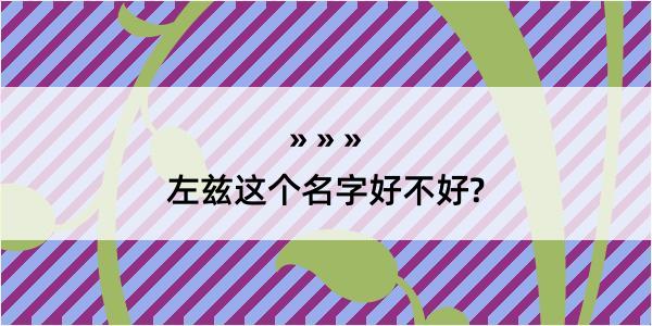 左兹这个名字好不好?