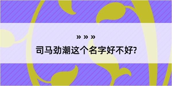 司马劲潮这个名字好不好?