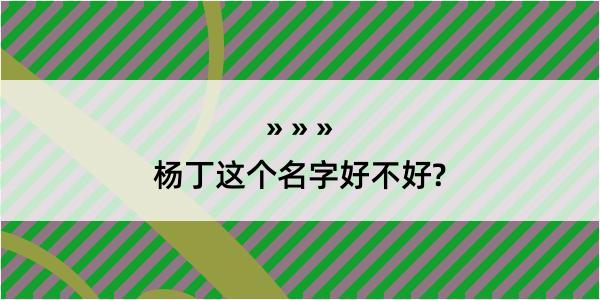 杨丁这个名字好不好?