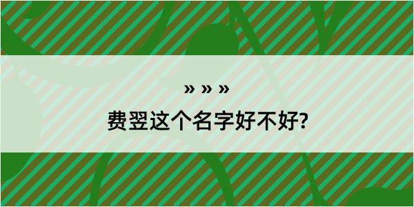 费翌这个名字好不好?