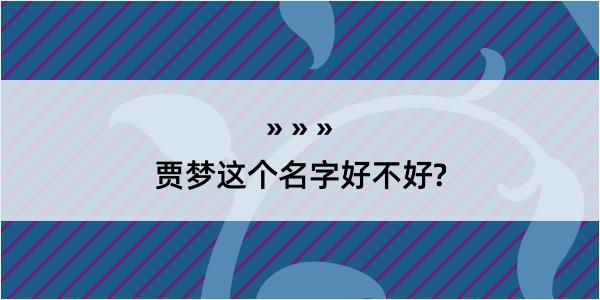 贾梦这个名字好不好?