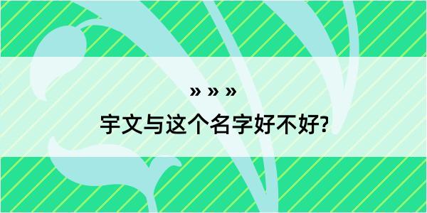 宇文与这个名字好不好?