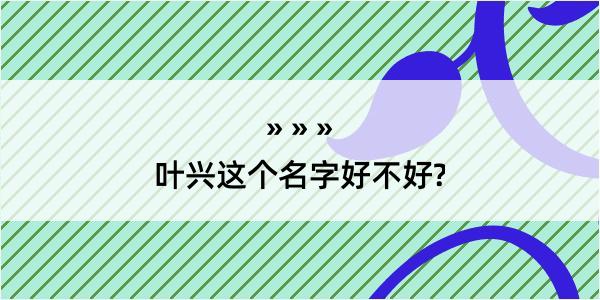 叶兴这个名字好不好?