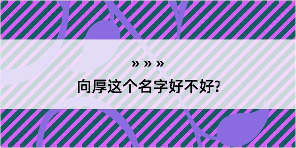 向厚这个名字好不好?