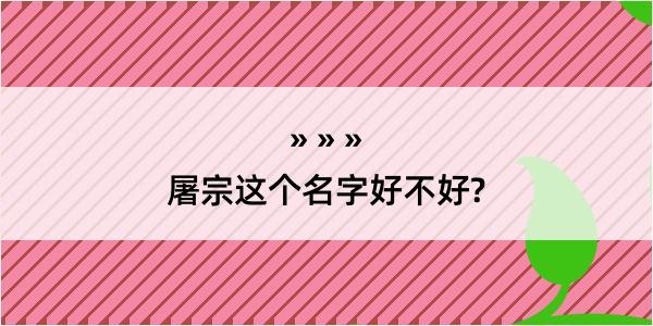 屠宗这个名字好不好?