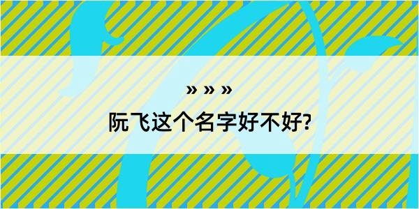 阮飞这个名字好不好?