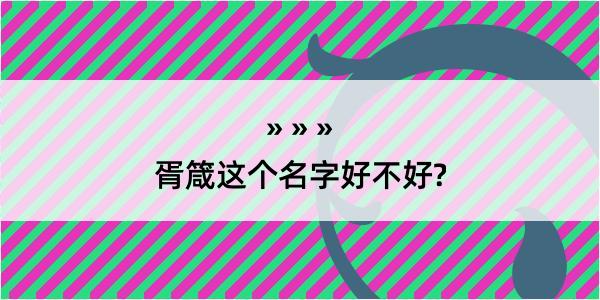 胥箴这个名字好不好?