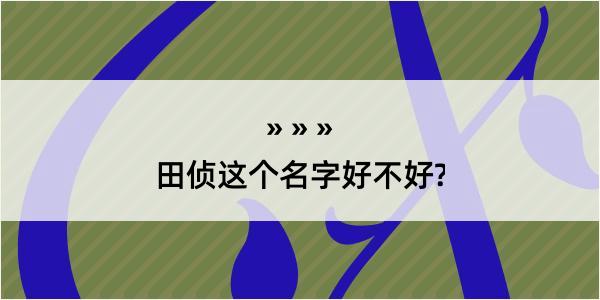 田侦这个名字好不好?