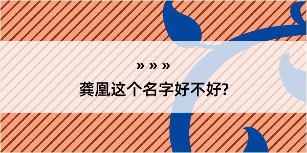 龚凰这个名字好不好?