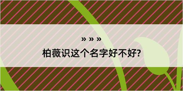 柏薇识这个名字好不好?