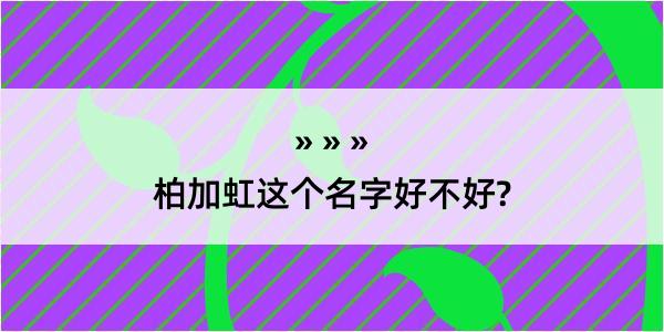 柏加虹这个名字好不好?