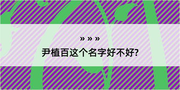 尹植百这个名字好不好?