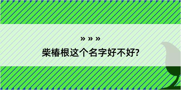 柴椿根这个名字好不好?