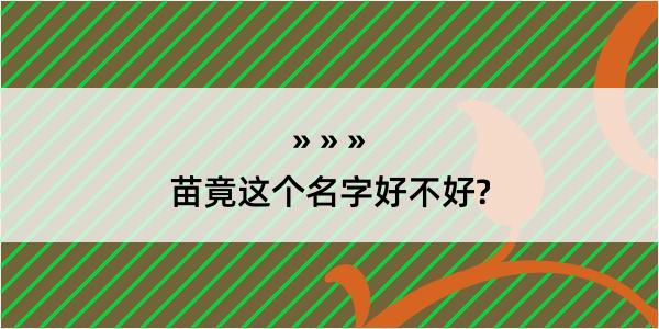 苗竟这个名字好不好?