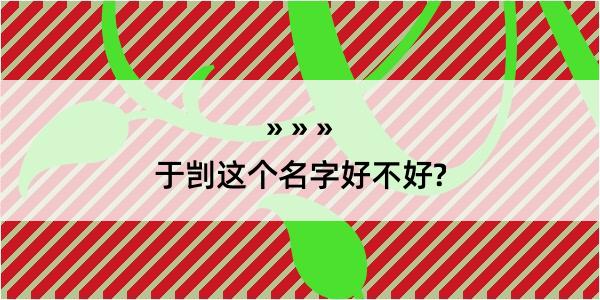 于剀这个名字好不好?