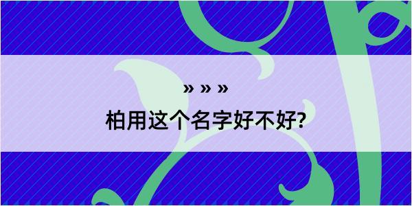 柏用这个名字好不好?