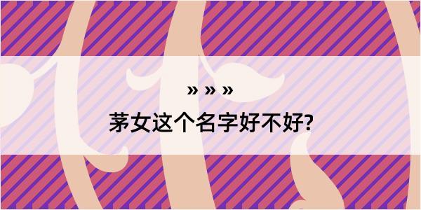 茅女这个名字好不好?