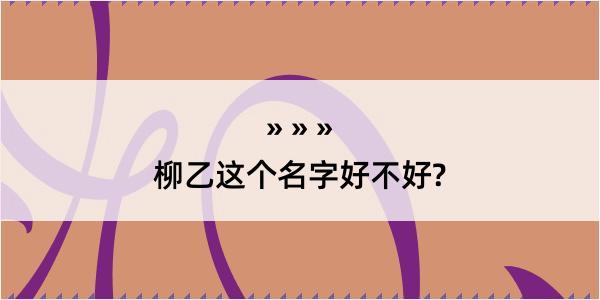 柳乙这个名字好不好?