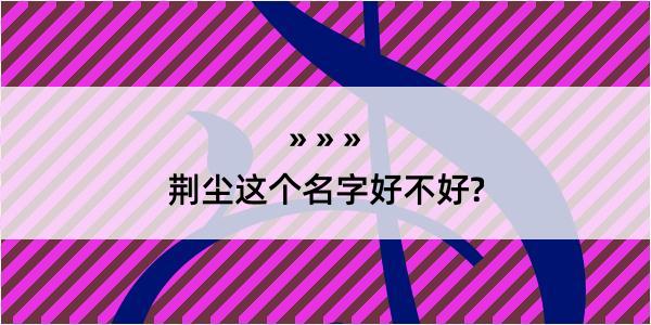 荆尘这个名字好不好?