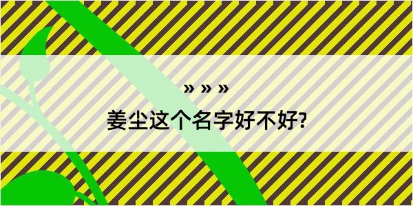 姜尘这个名字好不好?