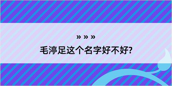 毛渟足这个名字好不好?