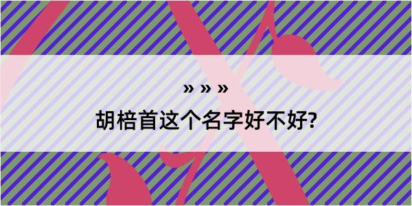 胡棓首这个名字好不好?