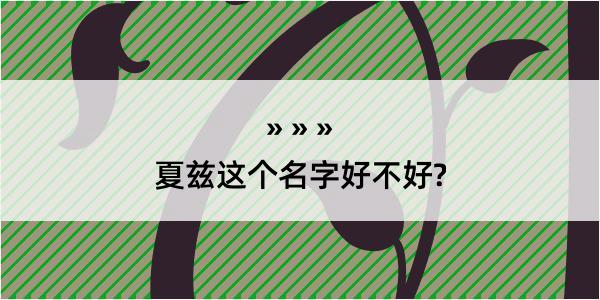 夏兹这个名字好不好?