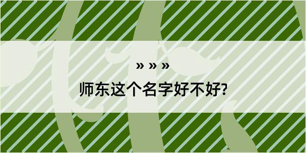 师东这个名字好不好?