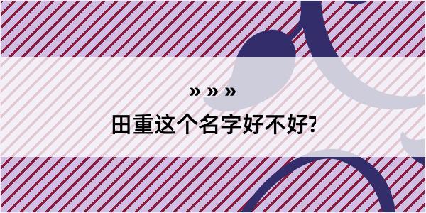 田重这个名字好不好?