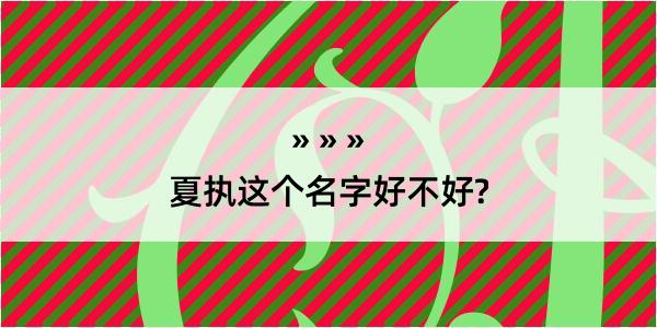 夏执这个名字好不好?