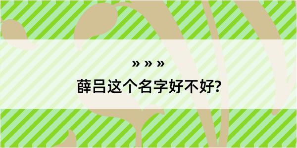 薛吕这个名字好不好?