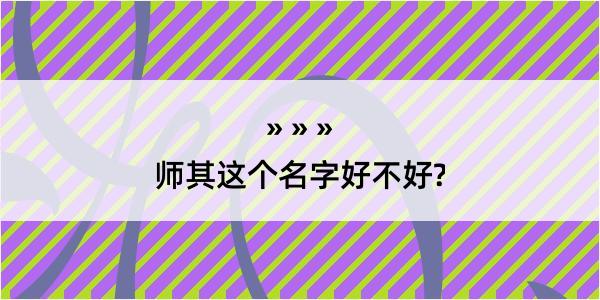 师其这个名字好不好?